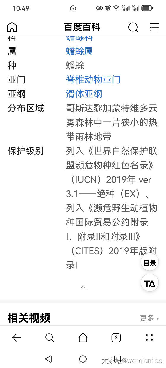 四只不同质地的金蟾，你觉得哪只最像_玉髓玛瑙黄蜡石原石