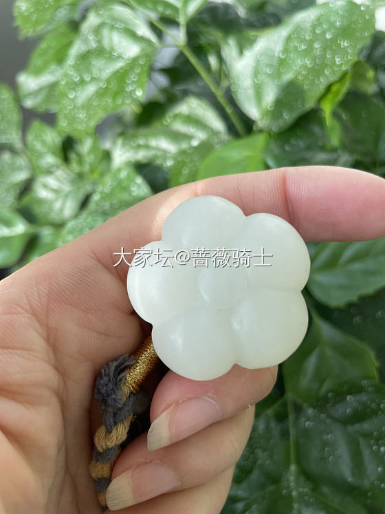 和田玉白玉柿子&白玉手串_把玩件和田玉