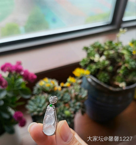 翡翠雪花棉_翡翠