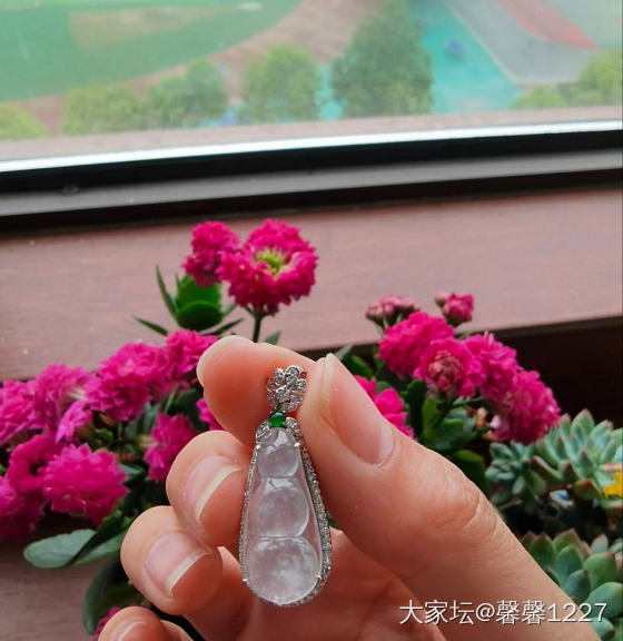 翡翠雪花棉_翡翠