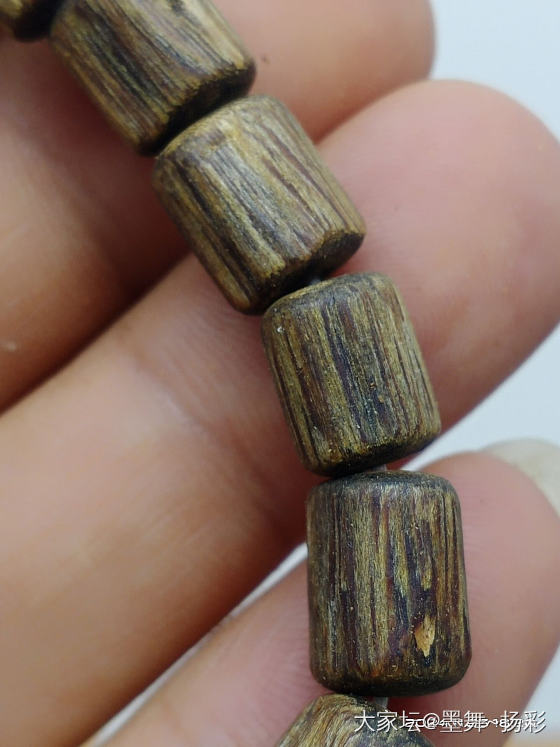 白棋楠（乌身原叶品种）_木