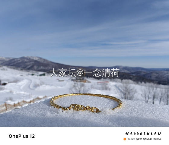 关于黑金镯子的一场虚惊_手镯金