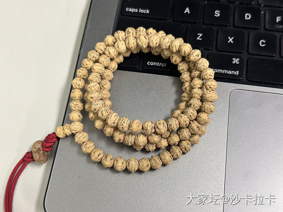 隔壁某书怎么发什么都限流呀_珠串菩提子