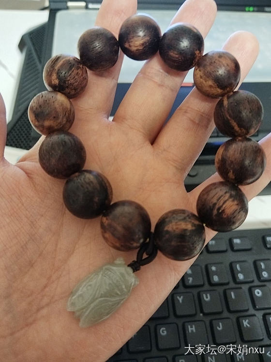 给自己沉香手串配个清代青白玉蝉_菩提子