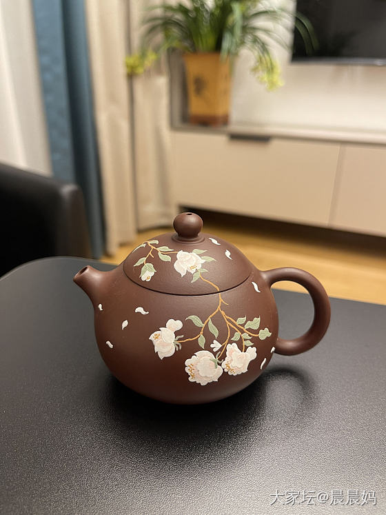 呃……今天该泡谁？要不，西施？_茶具