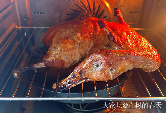 烤大雁鹅🦢_美食生活闲聊