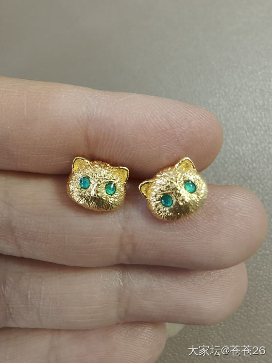 这两天到的非羊毛金耳钉，蜻蜓和猫猫_耳钉金