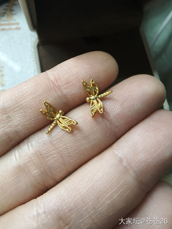 这两天到的非羊毛金耳钉，蜻蜓和猫猫_耳钉金