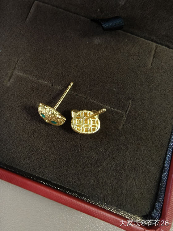 这两天到的非羊毛金耳钉，蜻蜓和猫猫_耳钉金