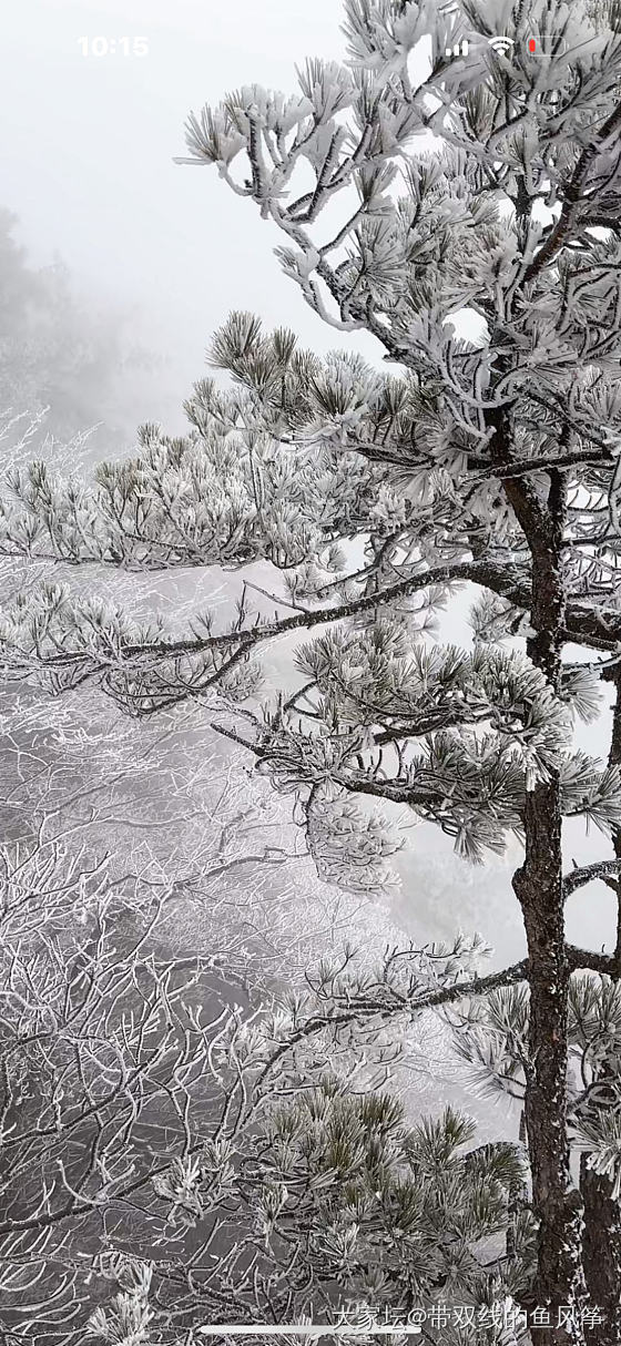 黄山下雪了，好想去_旅游景色