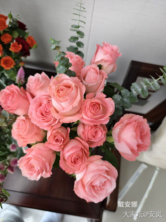 虽然，她们都是月季_花