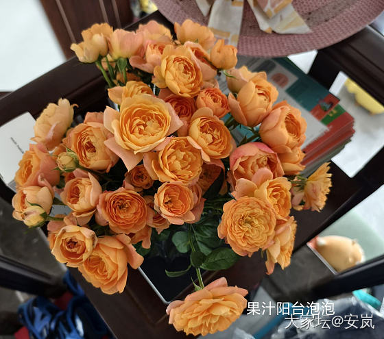 虽然，她们都是月季_花