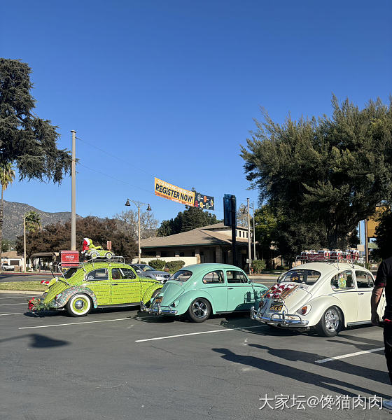 玩具🚗和六轮皮卡🛻_车