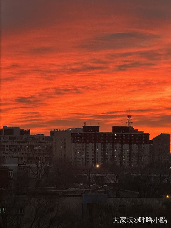 今早的朝霞❤️_闲聊