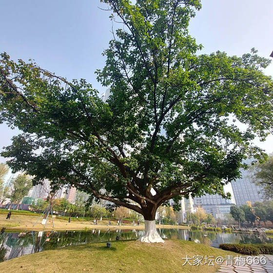 午饭后的散步时间，太爱这冬日暖阳了～_景色生活