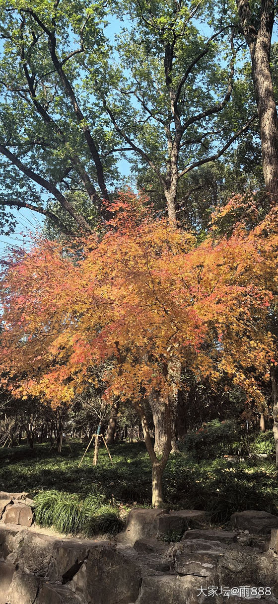 今日虎丘