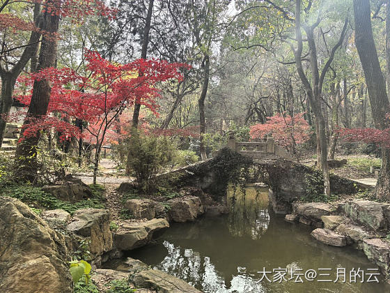 江南小城的初冬_景色