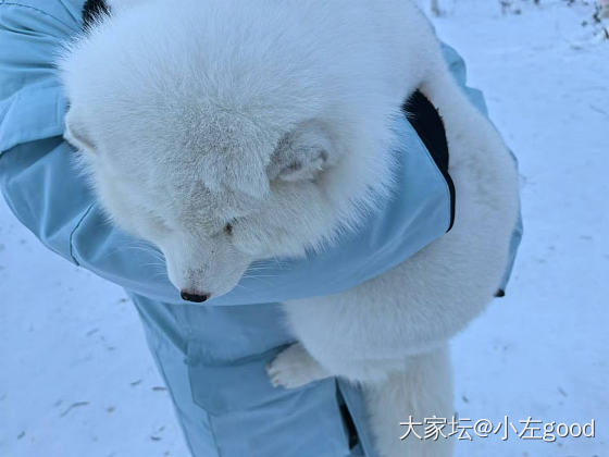 漠河一点都不冷_东北景色