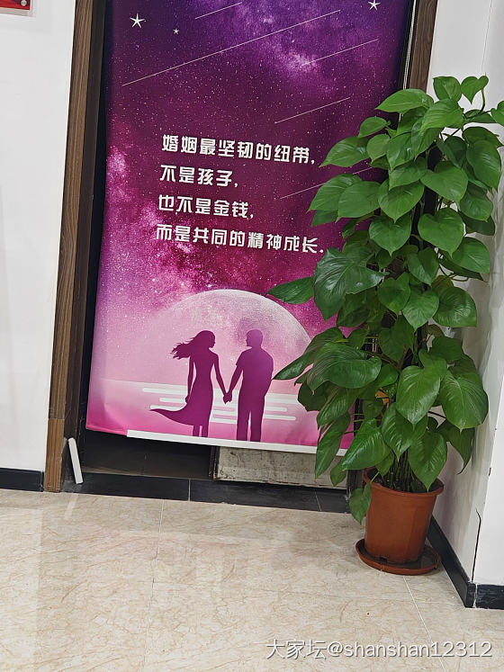 没有家人可以商量，全凭自己做主_家务事