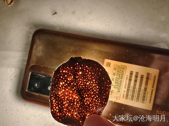 陈皮可否？_食材