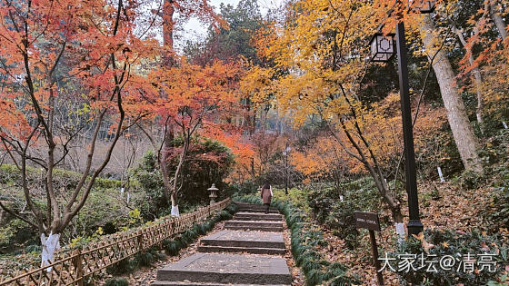 杭州永福寺与绍兴安昌古镇_生活旅游