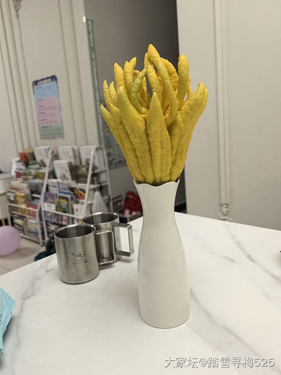 佛手飘香的季节_植物水果