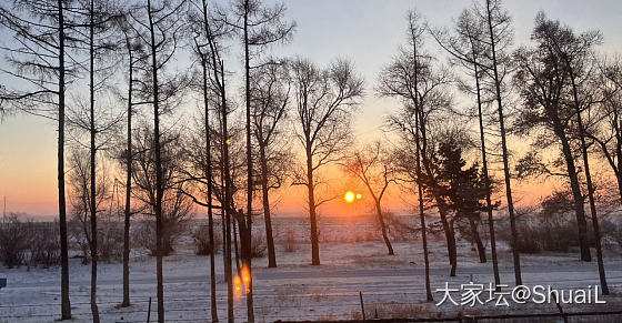 东北平原的日出🌅_景色