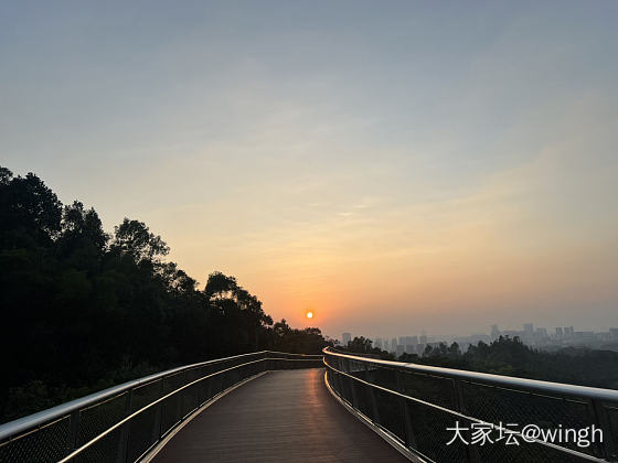 2024年收集的落日瞬间_景色