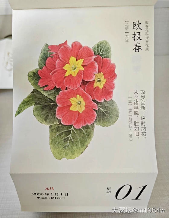 指尖流年，花开成诗—2025花开有时水彩花卉小台历_闲聊