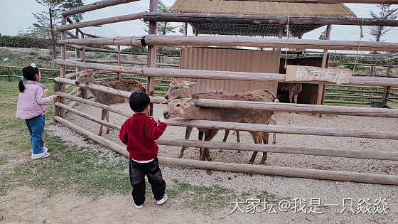 假期带娃，生无可恋。_育教亲子