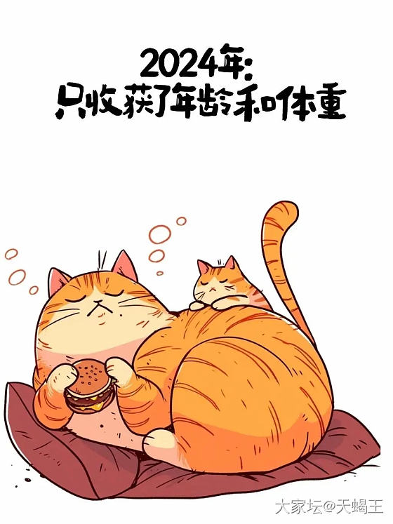 坛友们新年快乐！_节日