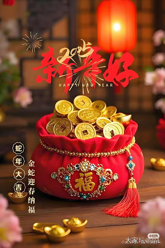 2025年第一天最好的祝福送给你：
      愿所行化坦途，所求皆如愿。祝愿家..._闲聊