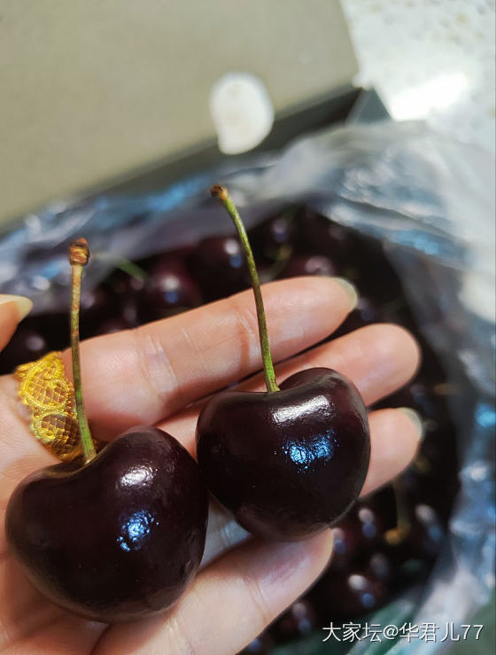 🍒🍒又到了吃车厘子的季节了。_水果