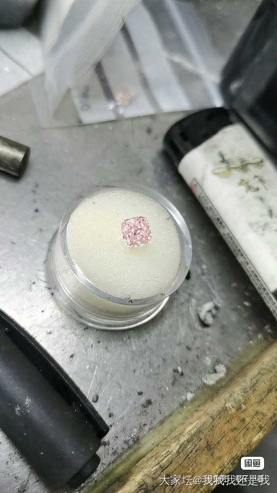 大家对培育粉钻怎么看？_培育钻