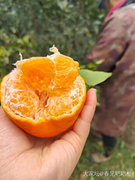 看着好像很好吃_水果