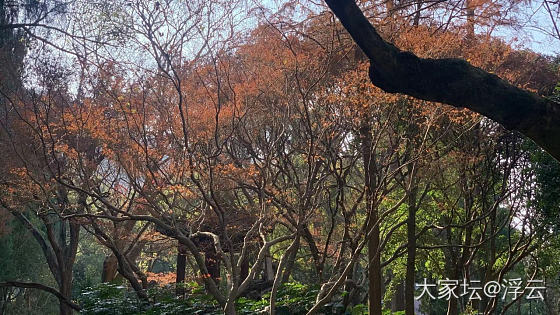 和煦的初冬_景色