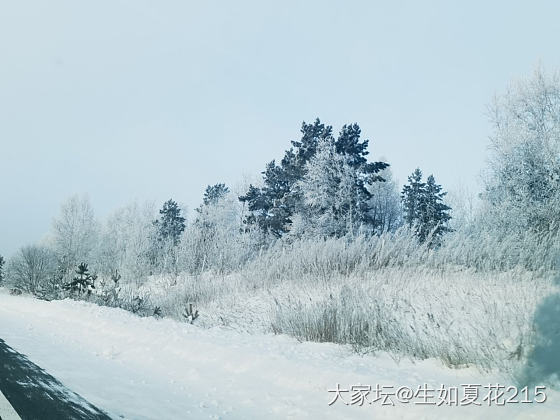 雾凇雪景_景色