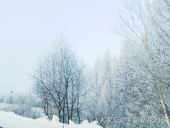 雾凇雪景_景色