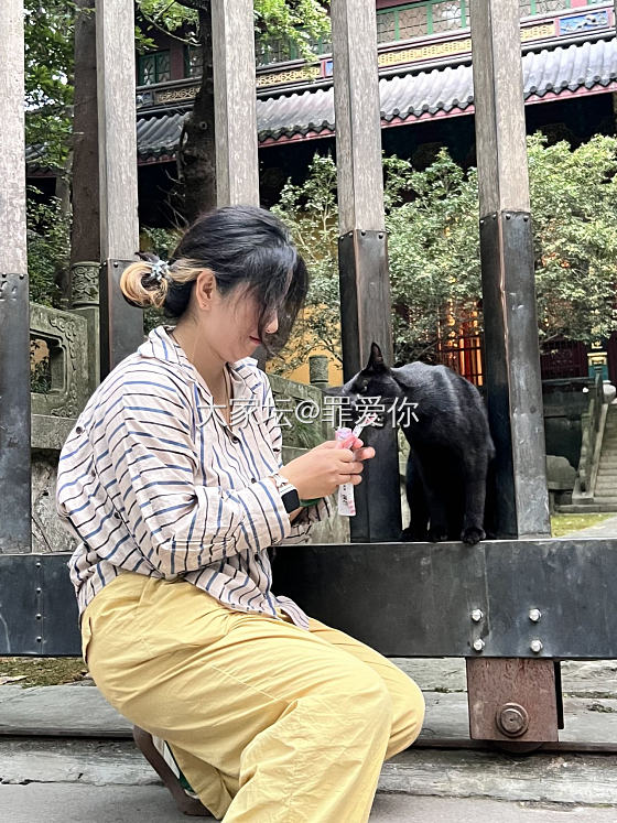 为了看许嵩苏州场演唱会，国庆去杭州苏州逛了逛。_旅游