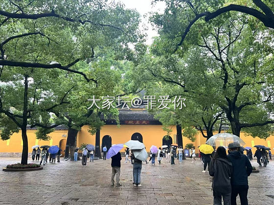 为了看许嵩苏州场演唱会，国庆去杭州苏州逛了逛。_旅游