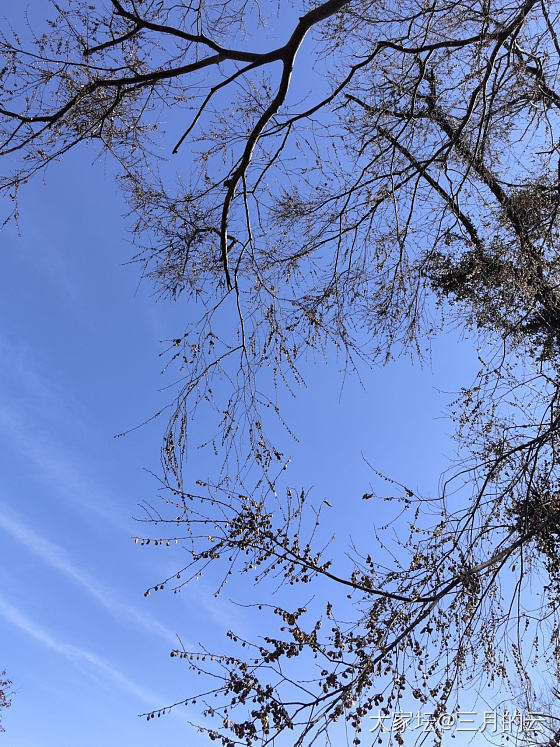 我见青山多妩媚，青山见我应如是_景色