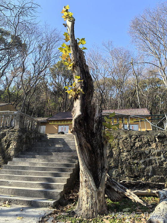 我见青山多妩媚，青山见我应如是_景色