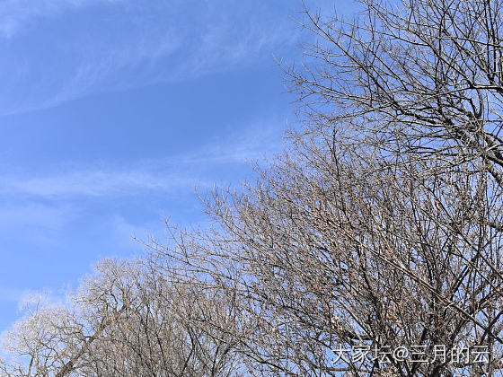 我见青山多妩媚，青山见我应如是_景色