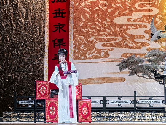 今晚去看陈丽君的五女拜寿了_曲艺