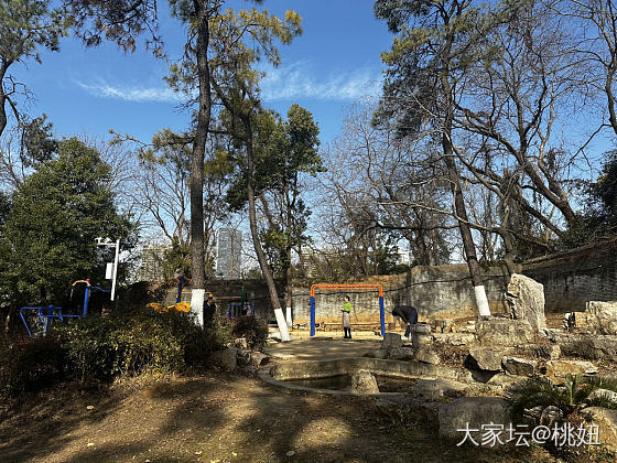 周五啦！中午在单位附近公园后山走了走，今天难得空气不错，蓝天白云☁️_金