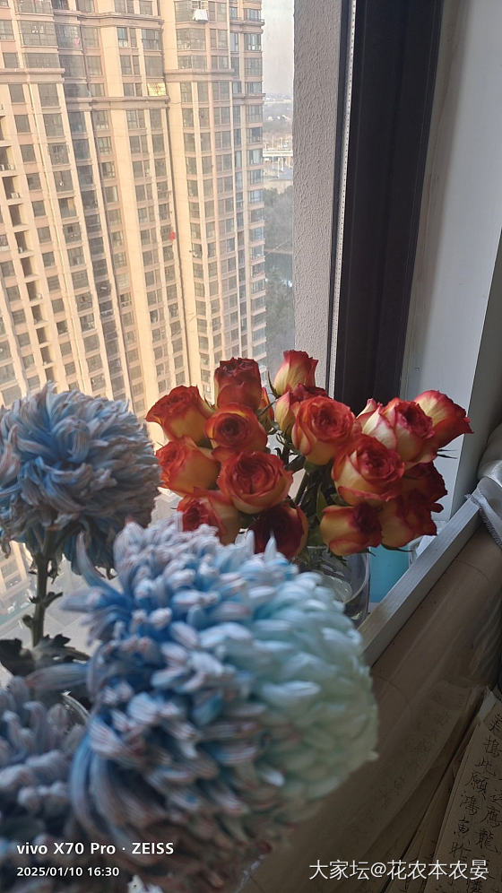 今天收到了蝴蝶很美_金