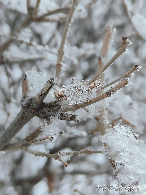 晶莹剔透的公主方与冰清玉洁的雪绒花_戒指钻石