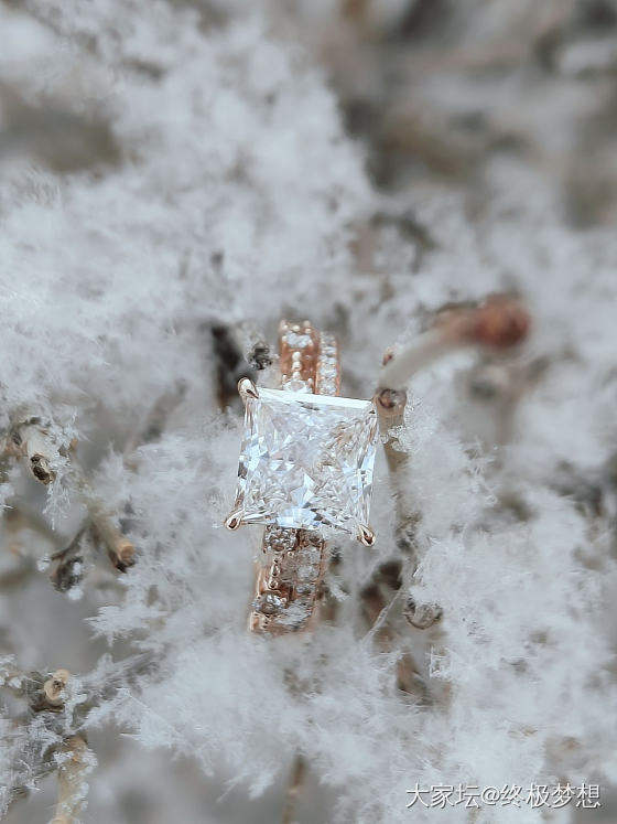 晶莹剔透的公主方与冰清玉洁的雪绒花_戒指钻石