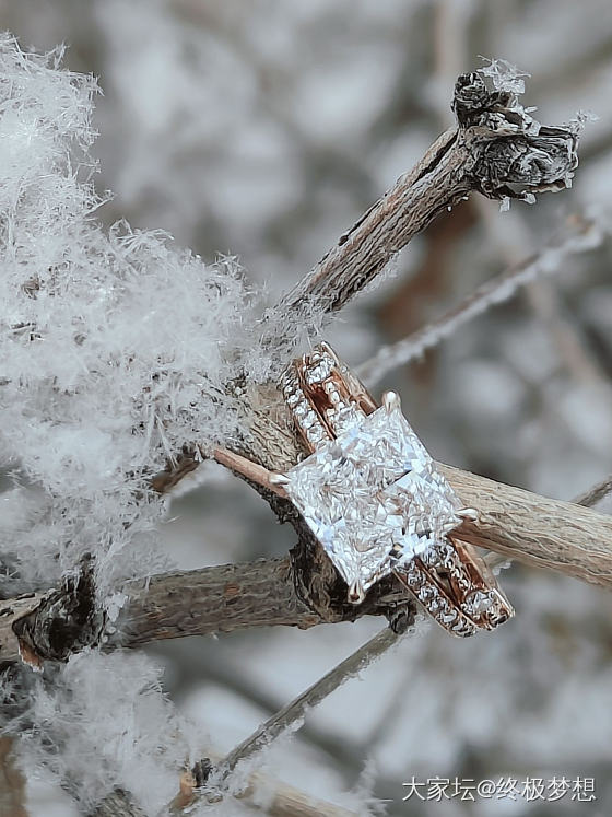 晶莹剔透的公主方与冰清玉洁的雪绒花_戒指钻石