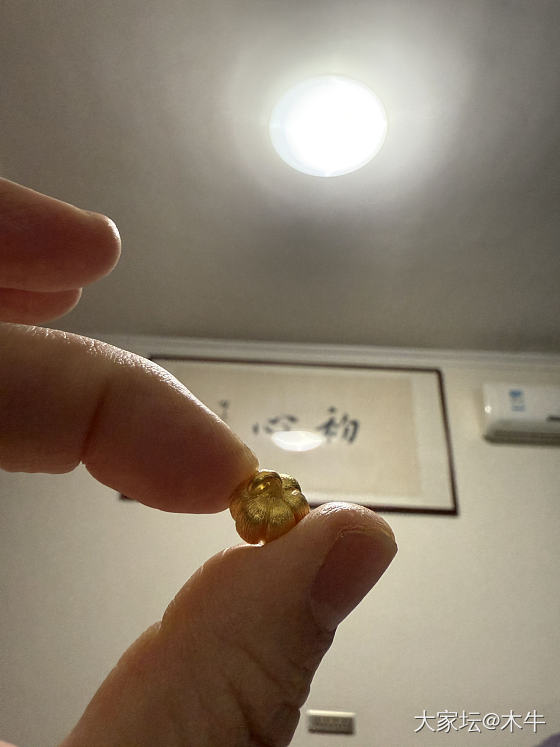 校长家团的小南瓜_金